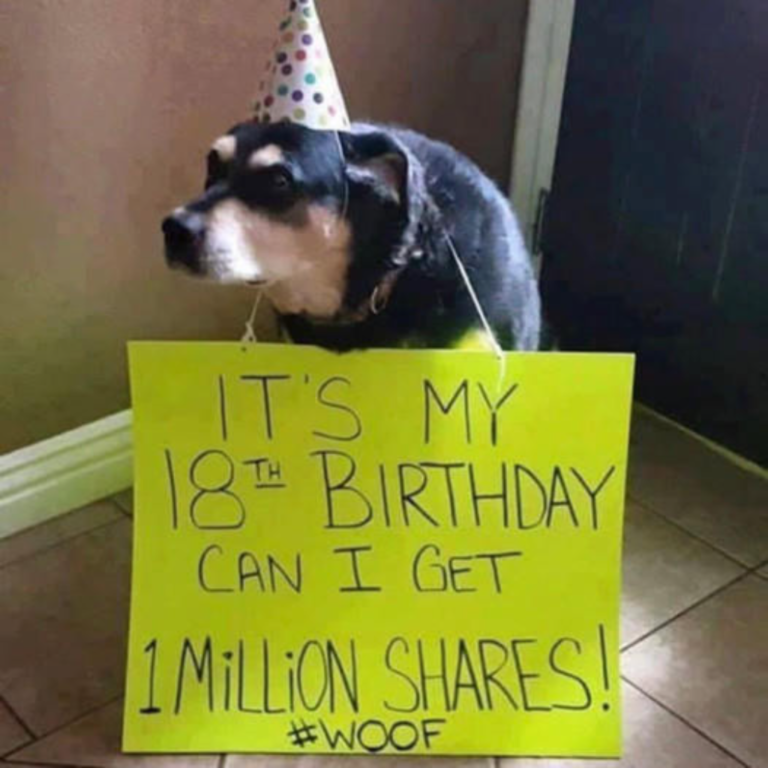 Heartwarming Tale of a Dog’s Birthday: Humble Pup Dreams of 1 Million Shares as a Gift