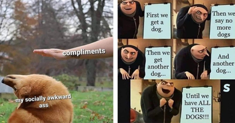 Nothin But Doggos: 17 Mood Lifting doggo Memes For A Better Day