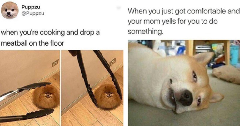 Freshly Dug Doggo Memes For Those Having A Ruff Day