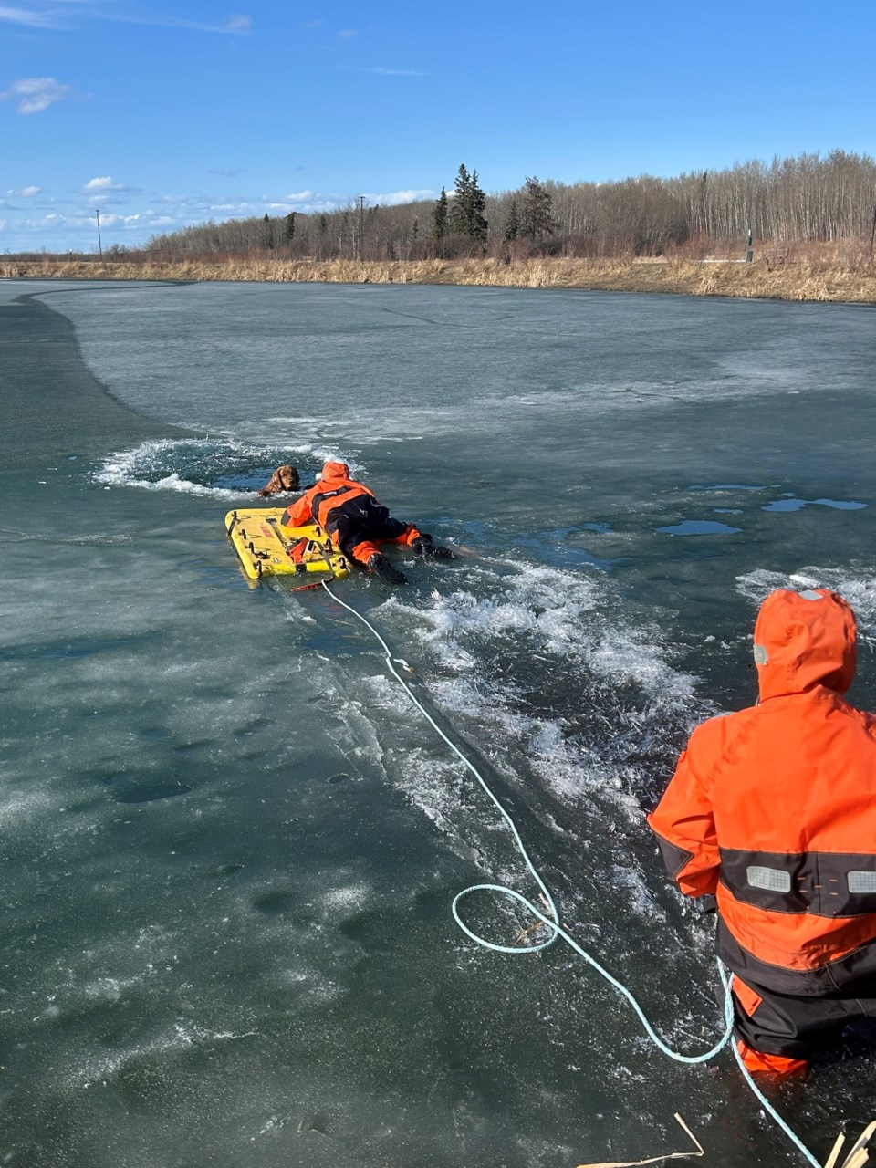 Heroic Firefighters Save Dog Trapped on Frozen Lake in Northern Alberta