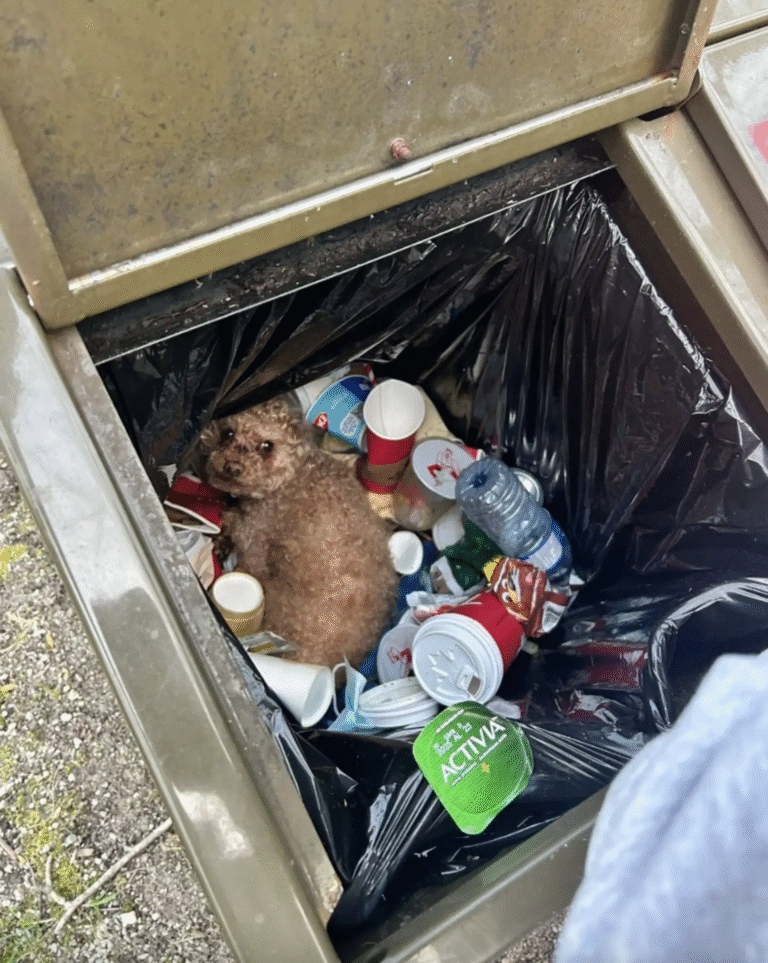 He Went to Throw Out Gum—And Found a Furry Surprise Inside