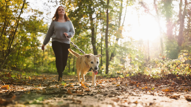 Why dogs are good for your health