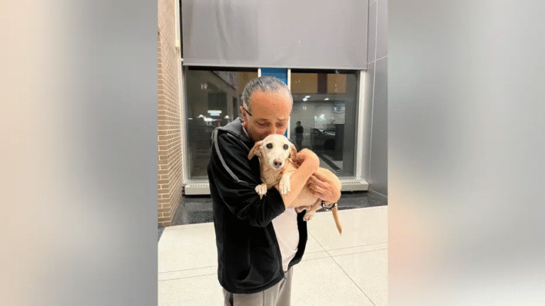 Stolen Service Dog Reunited with Blind Owner After Two Months