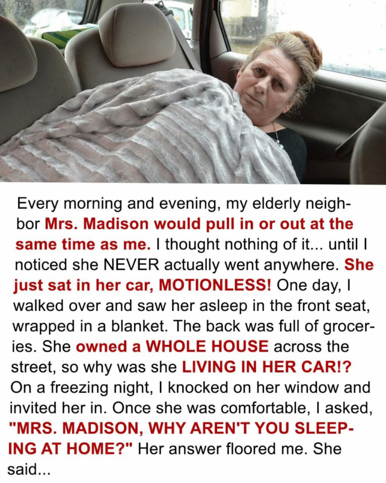 A Neighbor’s Secret Life in a Car