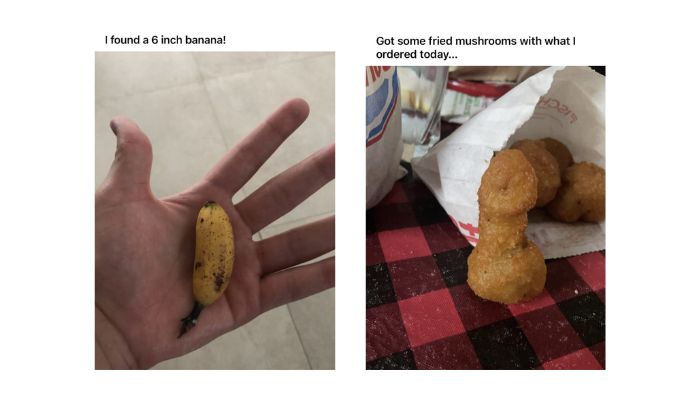 Morning Funny Pic Dump (20 Pics)