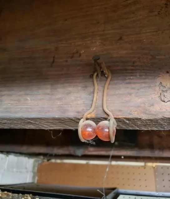 A Forgotten Tool From the Past That Still Gets People Talking