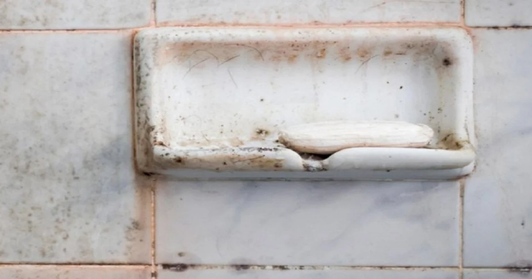 What That Strange Pink Slime in Your Bathroom Really Is