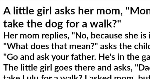 A little girl asked her Mom, ”Mom, may I take the dog for a walk around the block?”