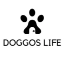 Doggo life