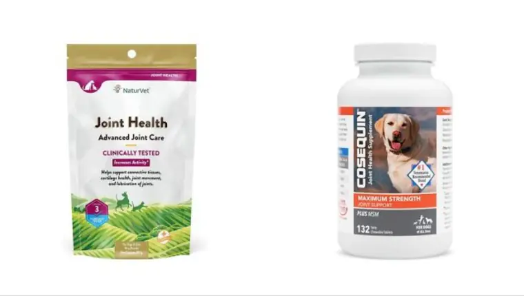 Top Dog Joint Supplement Recommended by vet